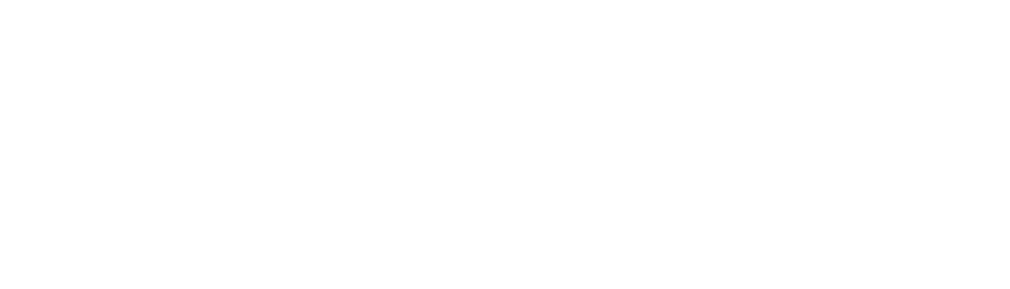 Solace Developers